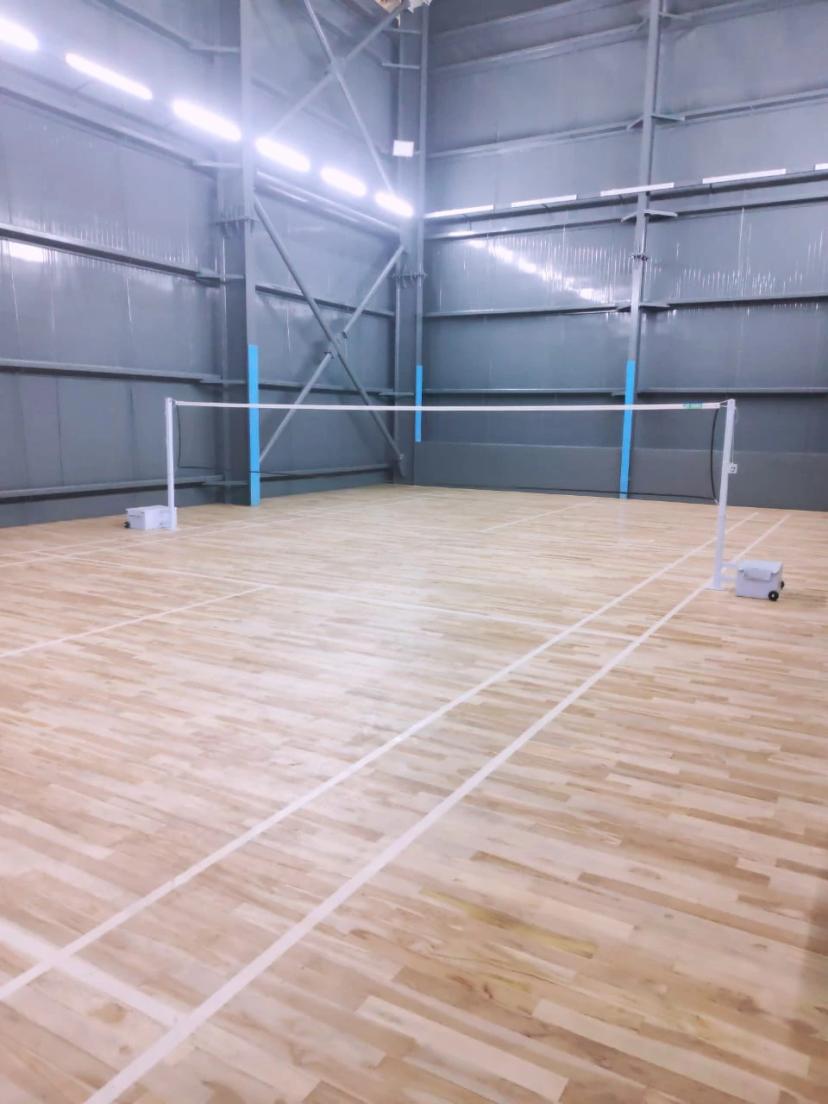 Pitch N Play Badminton, Adyar, Chennai