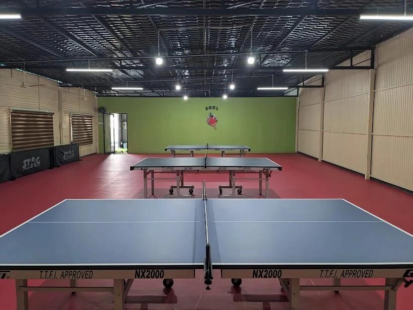 Soul Academy of Table Tennis, Saibaba Colony, Coimbatore
