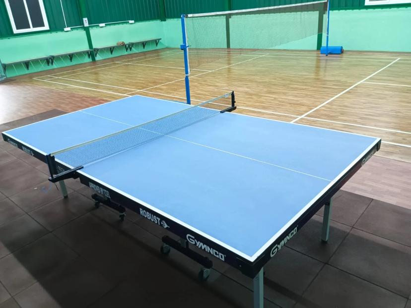 Flying Birdies Table Tennis, Anna Nagar West Extension, Chennai
