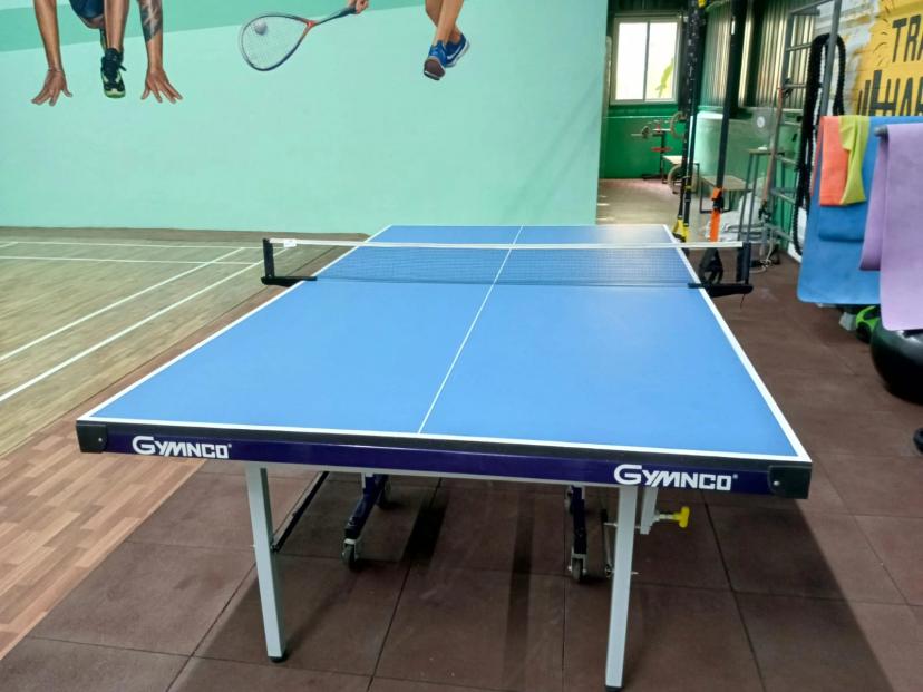 Flying Birdies Table Tennis, Anna Nagar West Extension, Chennai