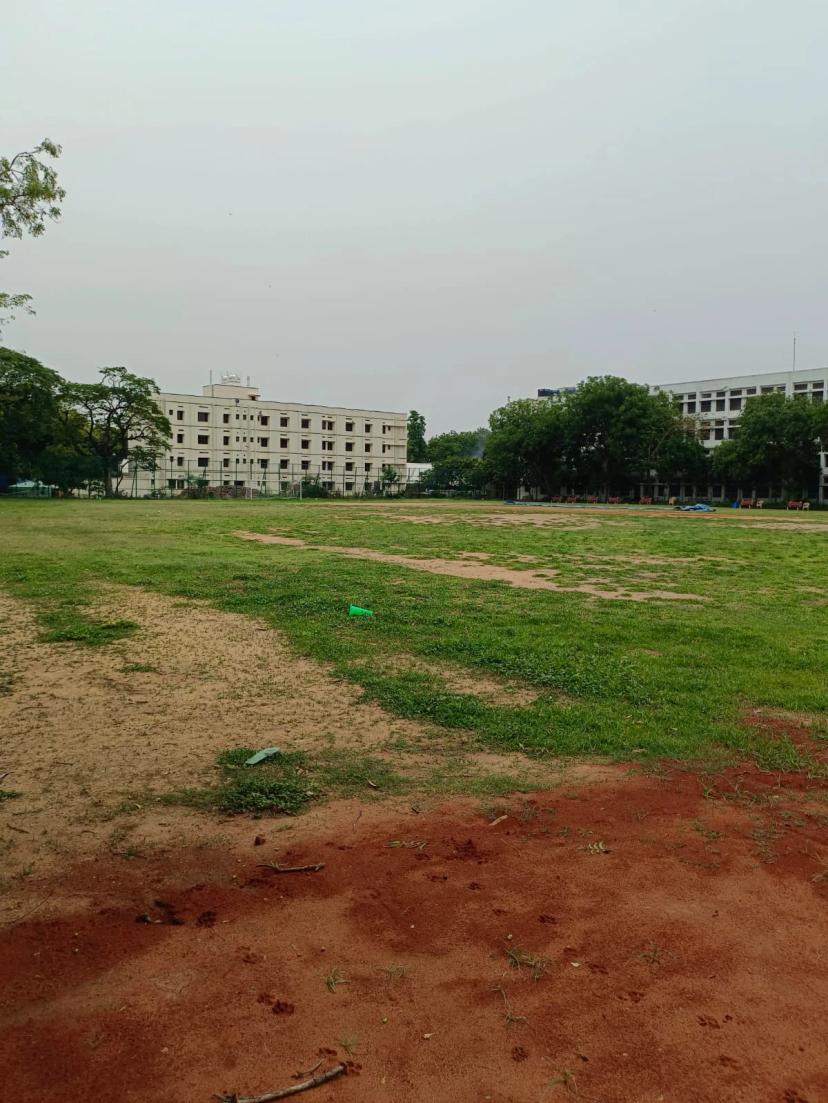 MCC Academy - LICET Turf Nets, Nungambakkam, Chennai