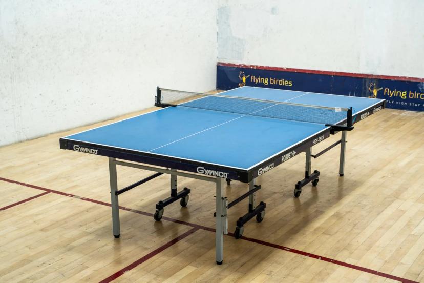 Flying Birdies Table Tennis, Anna Nagar West Extension, Chennai