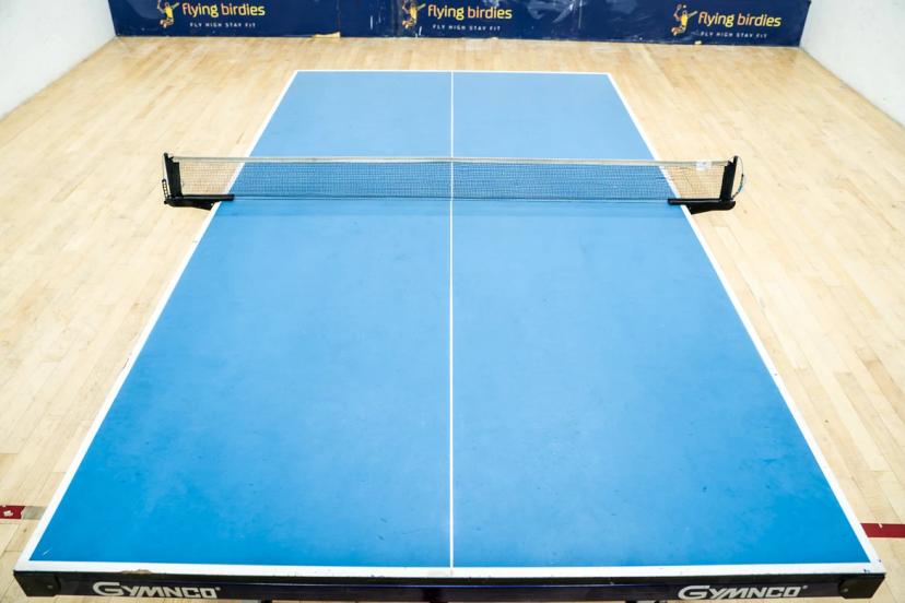 Flying Birdies Table Tennis, Anna Nagar West Extension, Chennai