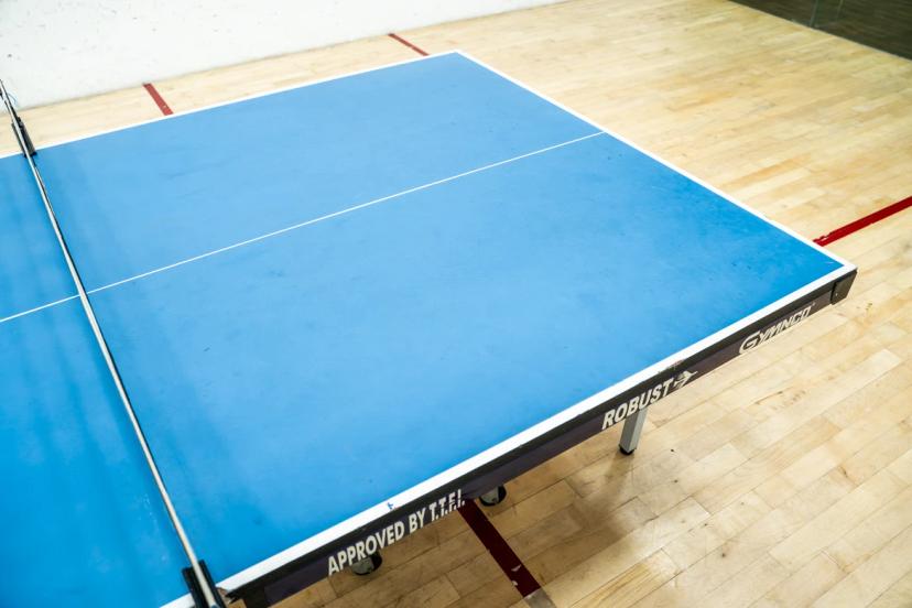 Flying Birdies Table Tennis, Anna Nagar West Extension, Chennai