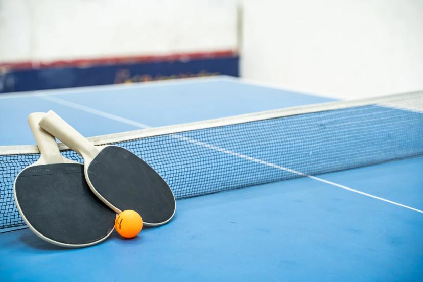 Flying Birdies Table Tennis, Anna Nagar West Extension, Chennai