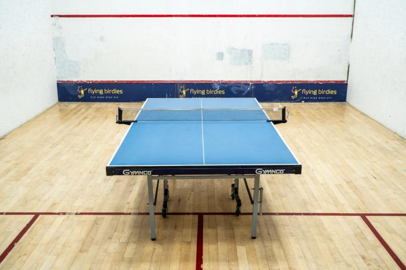 Flying Birdies Table Tennis, Anna Nagar West Extension, Chennai