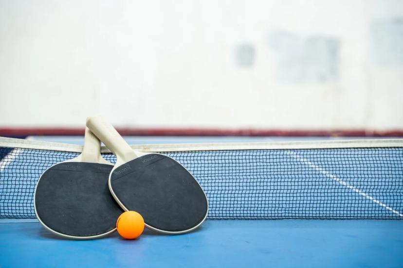 Flying Birdies Table Tennis, Anna Nagar West Extension, Chennai