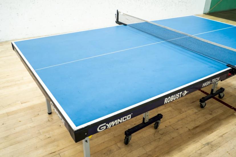 Flying Birdies Table Tennis, Anna Nagar West Extension, Chennai