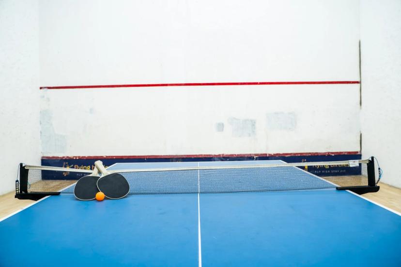 Flying Birdies Table Tennis, Anna Nagar West Extension, Chennai